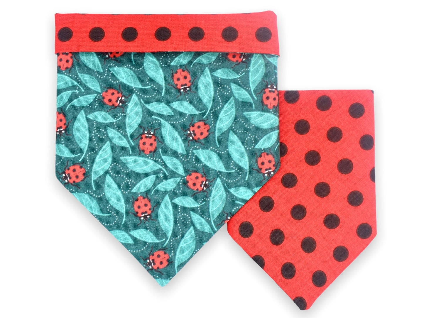 Little Ladybugs