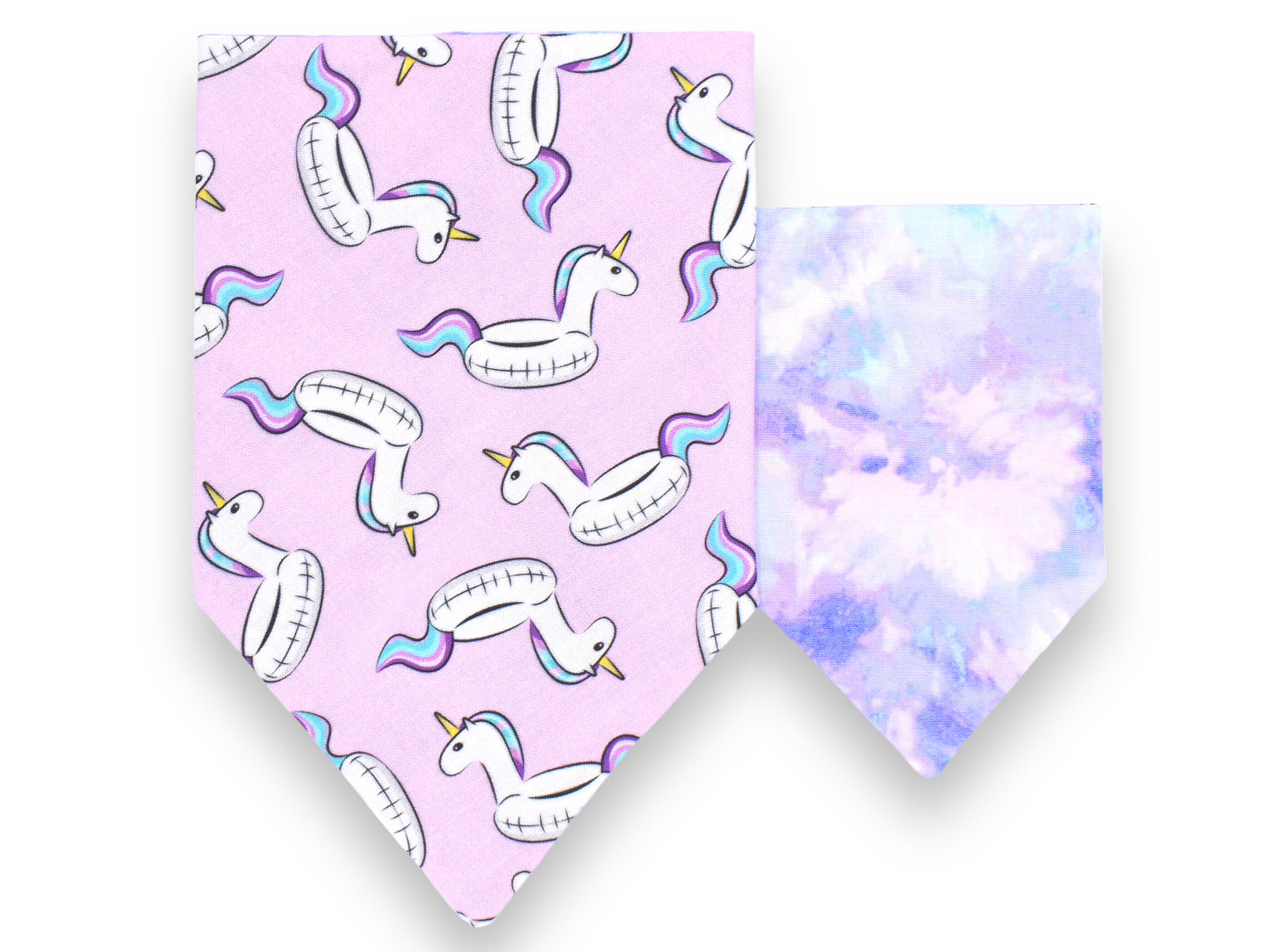 Unicorn Floaties