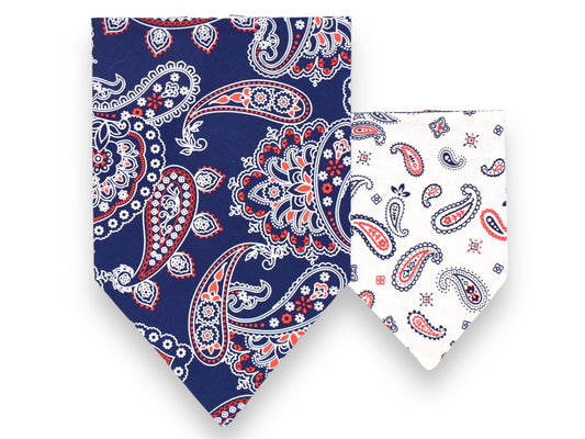 Patriotic Paisley